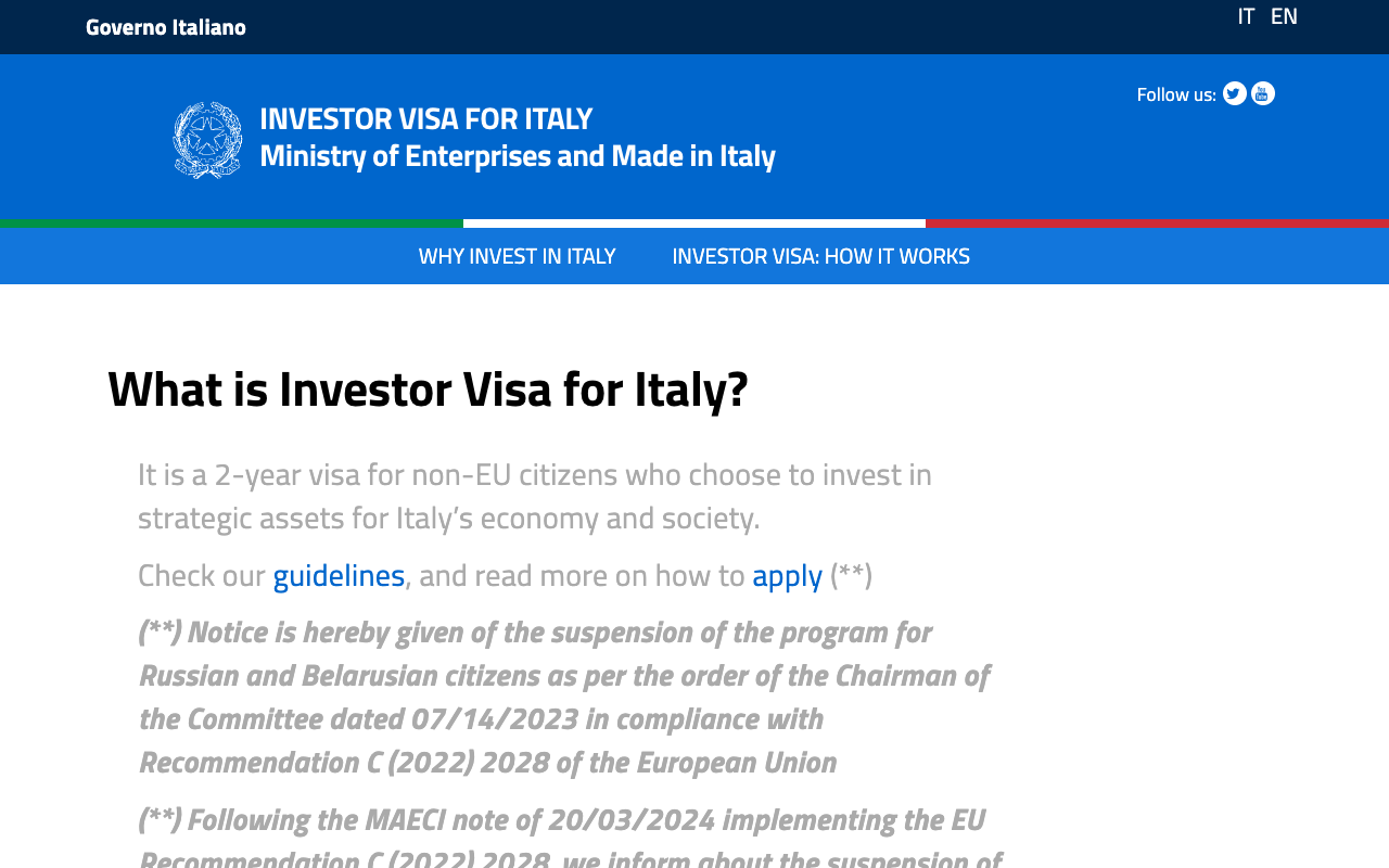 The Italian government Investor Visa for Italy portal run by the Ministry of Enterprises and Made in Italy, describing a two-year visa for non-EU citizens who invest in strategic assets, with links to the guidelines and the application